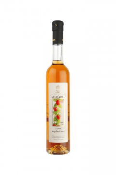 Liquore Fragoline di Bosco