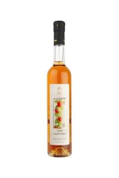 Liquore Fragoline di Bosco